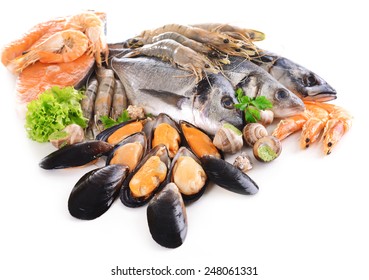 Fresh Fish And Other Seafood Isolated On White