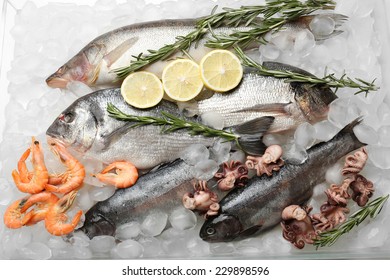 Fresh Fish Seafood Healthy Eating Top Stock Photo 1262311555 | Shutterstock