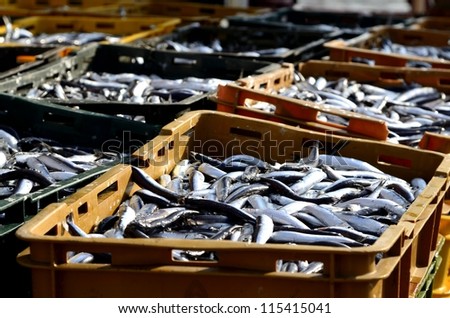 Similar – Image, Stock Photo Fisherman with Fresh Catch at Praia Emilia Beach