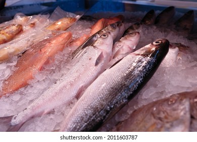 Fresh fish for sale. A variety of freshly caught fishes displayed on ice, typical in supermarket or wet market