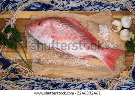Fresh Fish from the sea to your table, Grouper, Snapper, Ice, Sea, Fishing