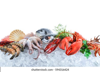 Fresh Fish And Seafood Arrangement On Crushed Ice