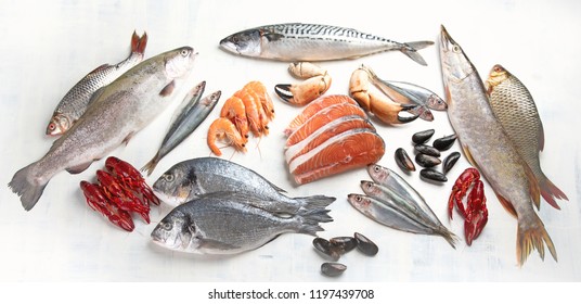 135,324 Fresh Fish Ice Images, Stock Photos & Vectors | Shutterstock