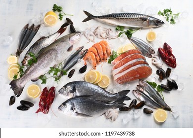 Fresh Fish And Seafood. Healthy Eating Concept. Top View