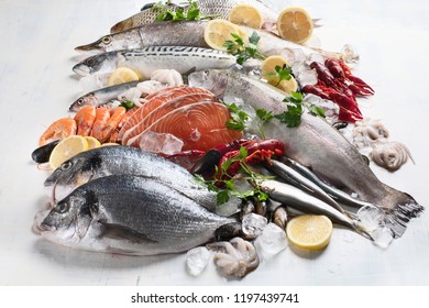 Fresh Fish Seafood Healthy Eating Concept Stock Photo 1197439711 ...