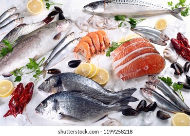 Fresh Fish Seafood Healthy Eating Concept Stock Photo 1199258218 ...