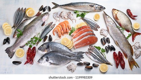 Fresh fish and seafood. Healthy eating concept. Top view - Shutterstock ID 1199983309