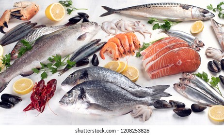 Fresh Fish Seafood Healthy Eating Concept Stock Photo 1200782821 ...