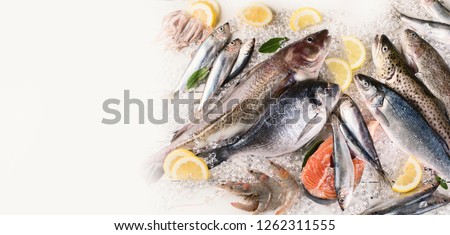Fresh fish and seafood. Healthy eating. Top view  with copy space. Panorama, banner