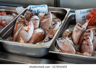 Fresh Fish Or Seafood Market In Heraklion, Crete, Greece. Food Travel Concept.