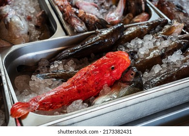 Fresh Fish Or Seafood Market In Heraklion, Crete, Greece. Food Travel Concept.