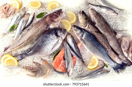 Fresh Fish Seafood On White Wooden Stock Photo 793715641 | Shutterstock