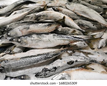 Fresh Fish Sell In Wet Market 