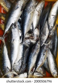 Fresh Fish Sell In Wet Market 