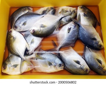 Fresh Fish Sell In Wet Market 