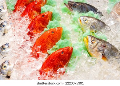 Fresh Fish Selling On Wet Market