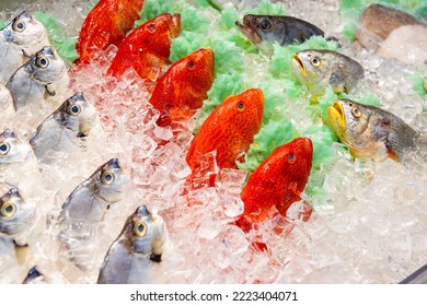 Fresh Fish Selling On Wet Market