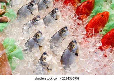 Fresh Fish Selling On Wet Market