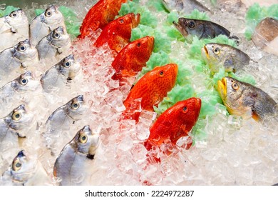 Fresh Fish Selling On Wet Market