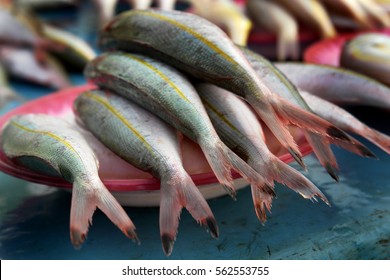 Fresh fish silver red snapper sardine ikan wet dry market hawker food stall vendor grocery shopping fruits vegetables seafood poultry meat cooked raw fresh uncooked                               