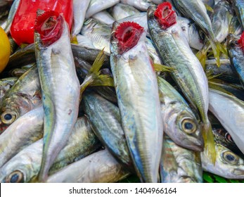 Fresh fish stacked in bulk