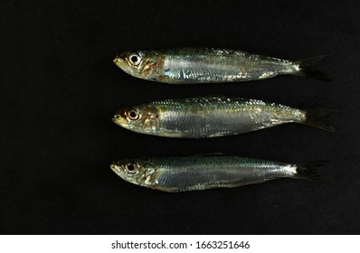 Fresh fish. Top view of fresh sardines on dark background with copy space.