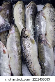 Fresh Fish Trout On The Counter Of The Fish Market