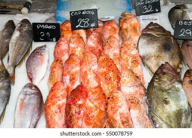 Fresh Fish Variety For Sale At Seafood Market, Palma, Mallorca