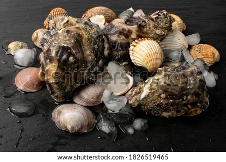 Fresh fisherman catch with oysters and mussels on ice. Raw molluscs, shellfish on black background closeup