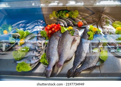 4 435 Fridge Fish Images Stock Photos Vectors Shutterstock   Fresh Fishes Fridge 260nw 2197734949 