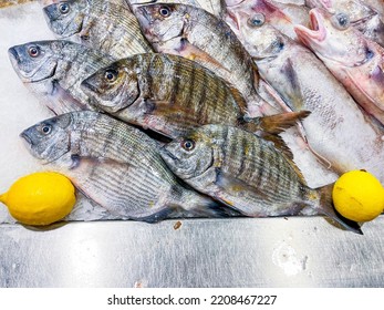 Fresh Fishmonger Market Fish Diplay