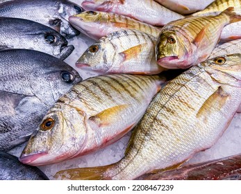 Fresh Fishmonger Market Fish Diplay