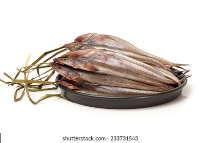 fresh flathead fish on white background