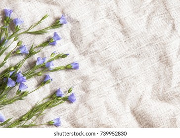 Fresh Flax Flowers On Linen Cloth. Natural Material Concept. Copy Space. 