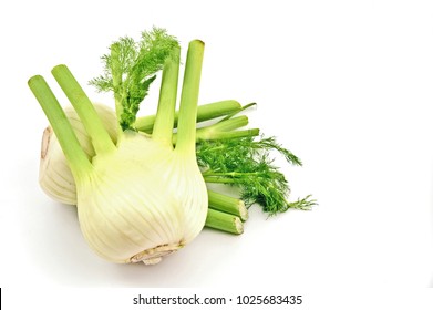 Fresh Florence fennel bulbs or Fennel bulb on white background.
Healthy and benefits of Florence fennel bulbs.
