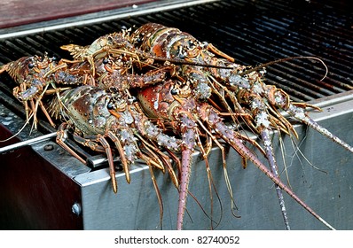 Fresh Florida Spiny Lobster On Grill