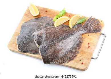 Fresh flounder