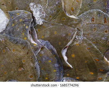 Fresh Flounder On Ice In A Fish Shop Window