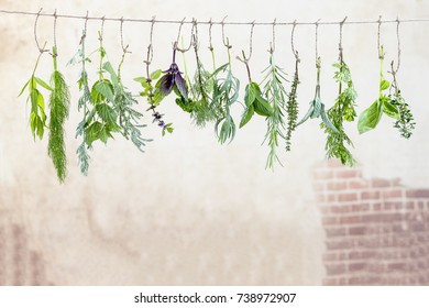 fresh flovouring herbs and eatable flowers hanging on a string, against a old wall - Shutterstock ID 738972907