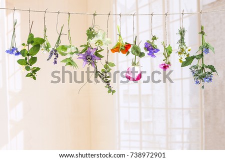 fresh flovouring herbs and eatable flowers hanging on a string, on a white backgroung