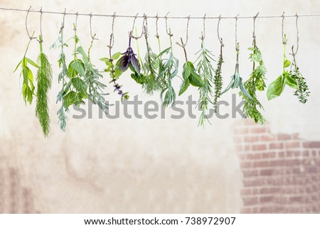 fresh flovouring herbs and eatable flowers hanging on a string, against a old wall