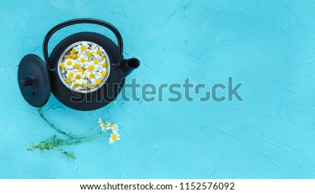 Similar – Fresh chamomile flowers in teapot on blue background