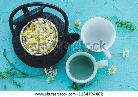 Fresh chamomile flowers in teapot on blue background