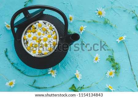 Similar – Fresh chamomile flowers in teapot on blue background