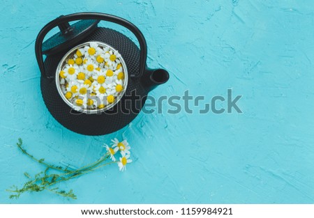 Similar – Fresh chamomile flowers in teapot on blue background