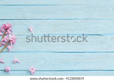 fresh flowers hyacinths on wooden background