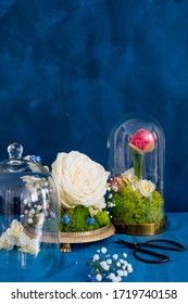 Fresh Flowers Under A Glass Bell Jar (cloche)