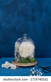 Fresh Flowers Under A Glass Bell Jar (cloche)