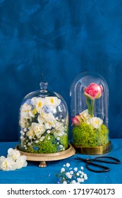 Fresh Flowers Under A Glass Bell Jar (cloche)