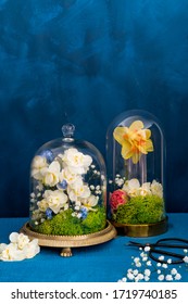 Fresh Flowers Under A Glass Bell Jar (cloche)